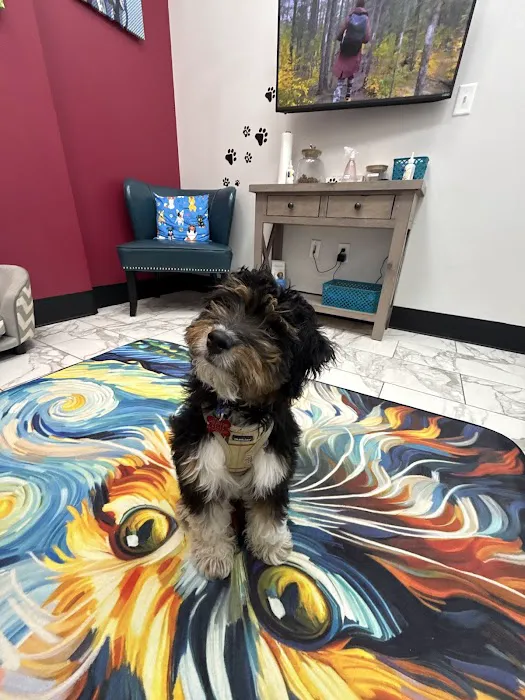 PetVet365 Pet Hospital Cincinnati/Anderson Picture 2