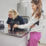 Breed All About It. LLC