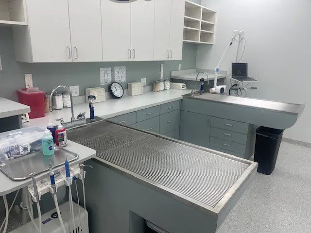 Animal Care Center at Anderson Picture 10