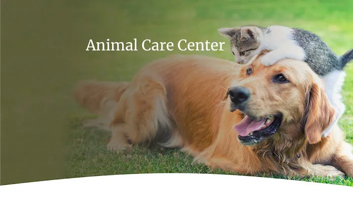 Animal Care Center at Anderson Picture 5