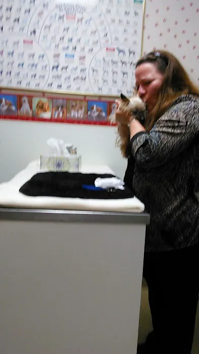 Anderson Hills Animal Care Hospital Picture 7
