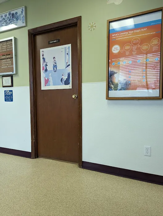 Anderson Hills Animal Care Hospital Picture 2