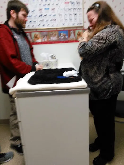 Anderson Hills Animal Care Hospital Picture 3