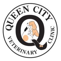 Queen City Veterinary Clinic ico