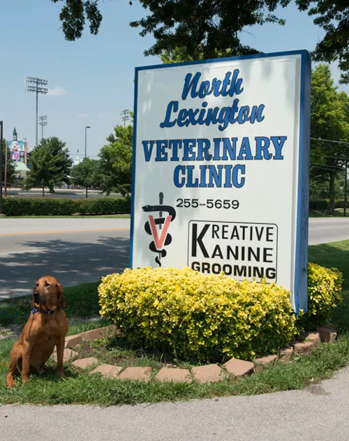 North Lexington Veterinary Clinic Picture 2