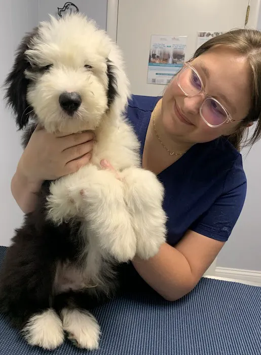 Noah's Ark Animal Hospital Picture 3