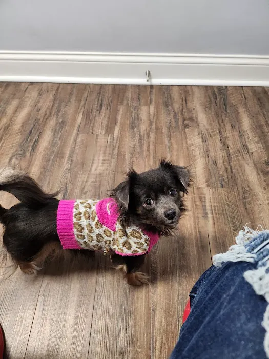 Noah's Ark Animal Hospital Picture 1