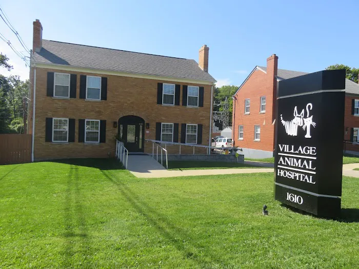 Village Animal Hospital Picture 5
