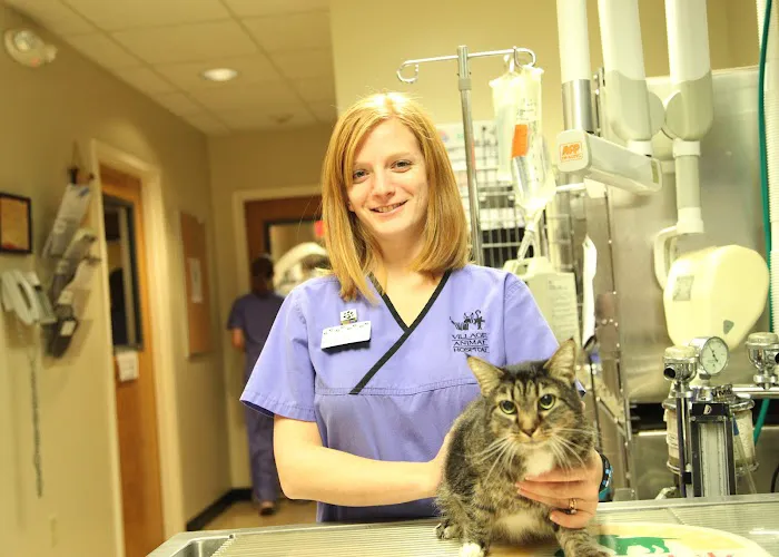 Village Animal Hospital Picture 9