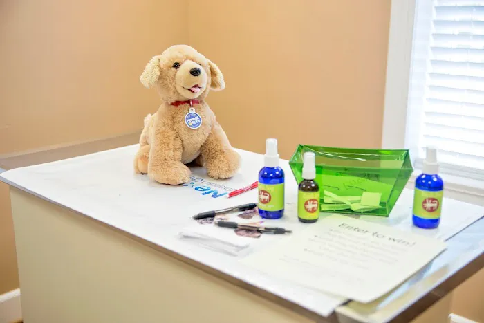 Village Animal Hospital Picture 6