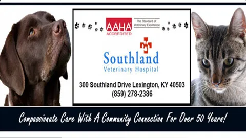 Southland Veterinary Hospital Picture 2