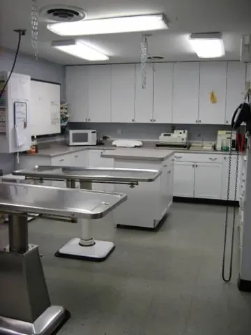 Southland Veterinary Hospital Picture 10