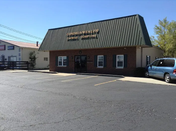 Commonwealth Animal Hospital Picture 9