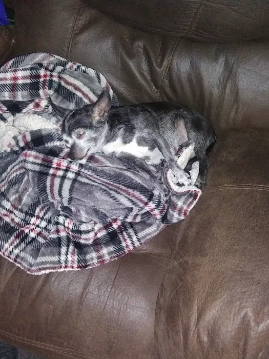 Bluegrass Animal Hospital Picture 3