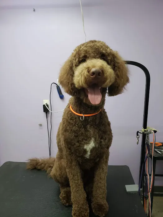 Bluegrass Animal Hospital Picture 2
