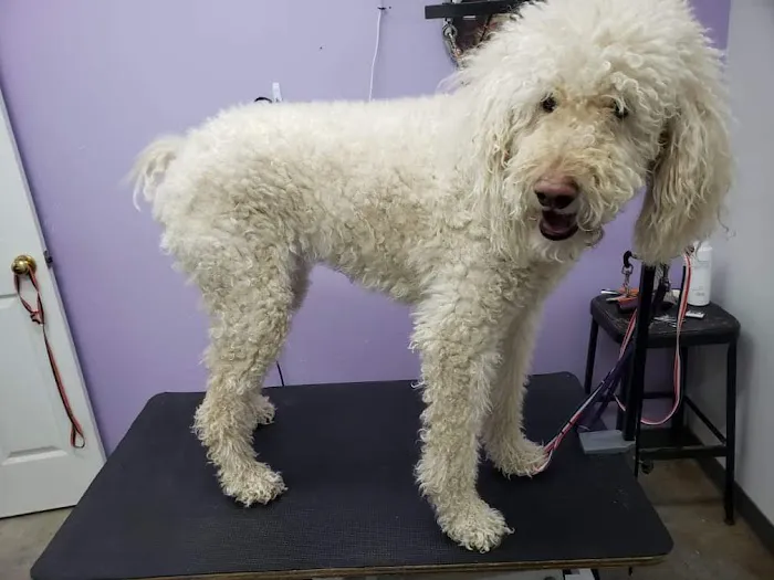 Bluegrass Animal Hospital Picture 4