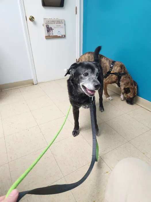 Harrodsburg Animal Hospital Picture 6