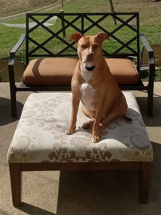 Harrodsburg Animal Hospital Picture 7