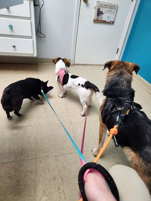 Harrodsburg Animal Hospital Picture 8