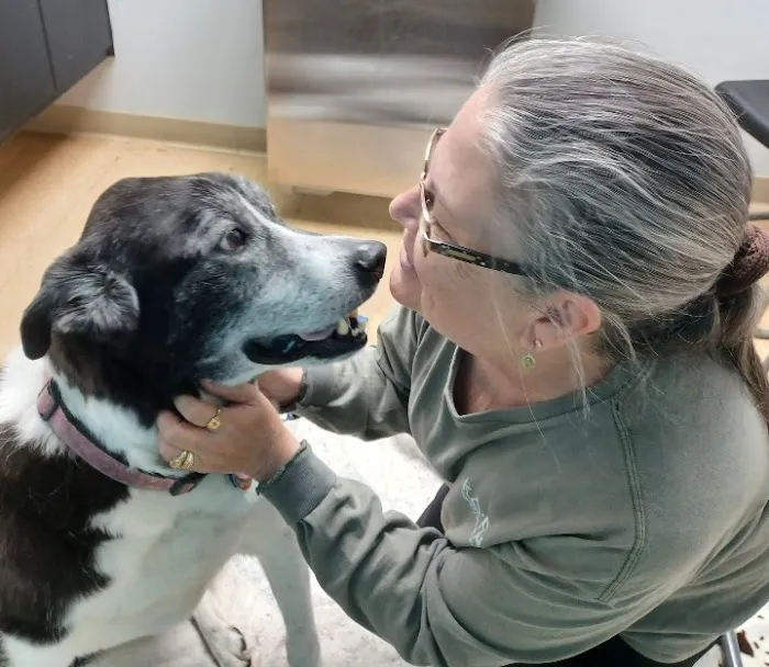 Harrodsburg Animal Hospital Picture 4