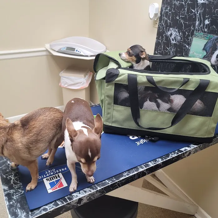 Nash, Cleveland, & Godfrey Veterinary Clinic Picture 1