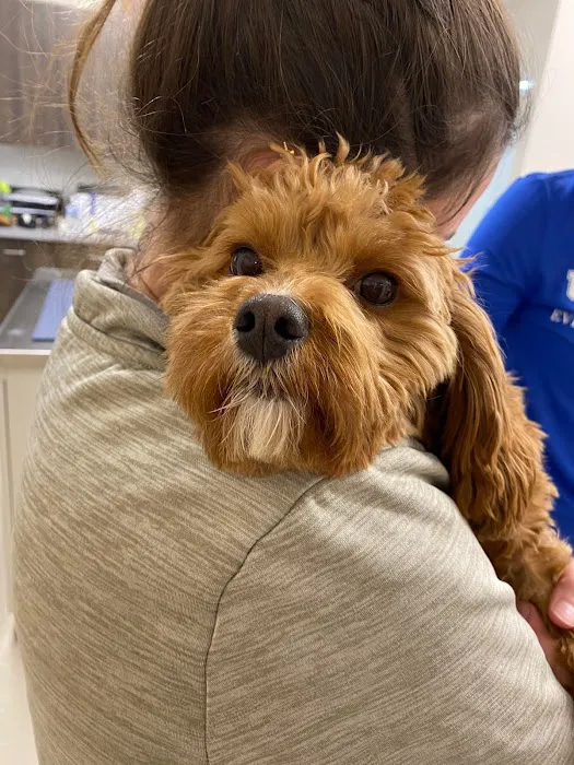 Nicholasville Road Animal Hospital Picture 10