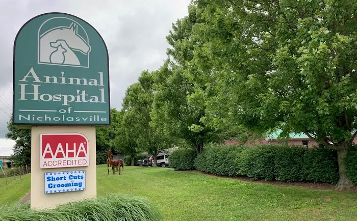 Animal Hospital of Nicholasville Picture 3