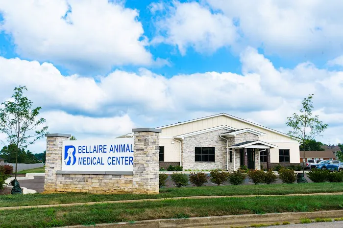 Bellaire Animal Medical Center Picture 6