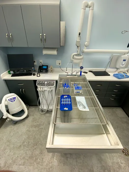 Bellaire Animal Medical Center Picture 7