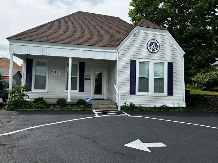 Focus Veterinary Care Picture 8