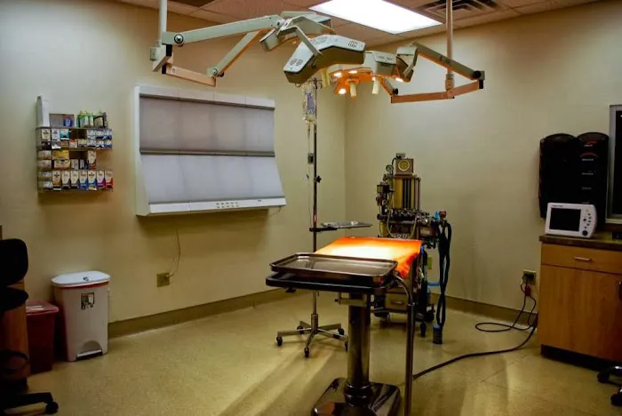 McCaw Veterinary Associates Picture 2