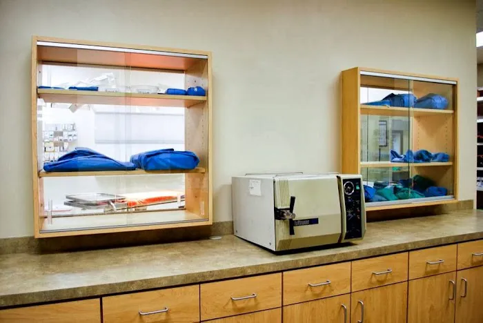 McCaw Veterinary Associates Picture 8
