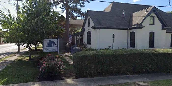 Chevy Chase Animal Clinic Picture 2