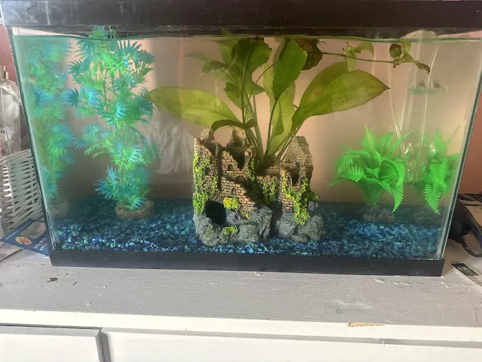 Pet Supermarket Picture 5