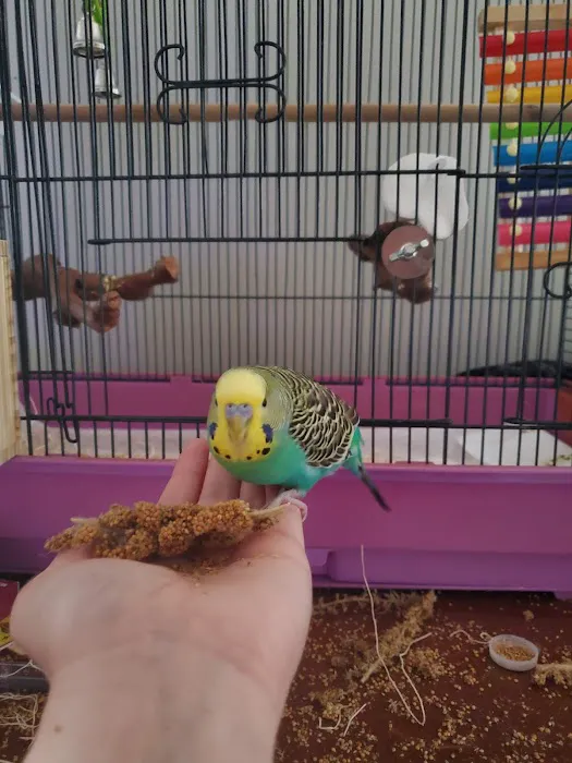 Pet Supermarket Picture 7