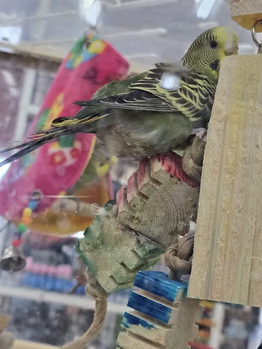 Pet Supermarket Picture 10