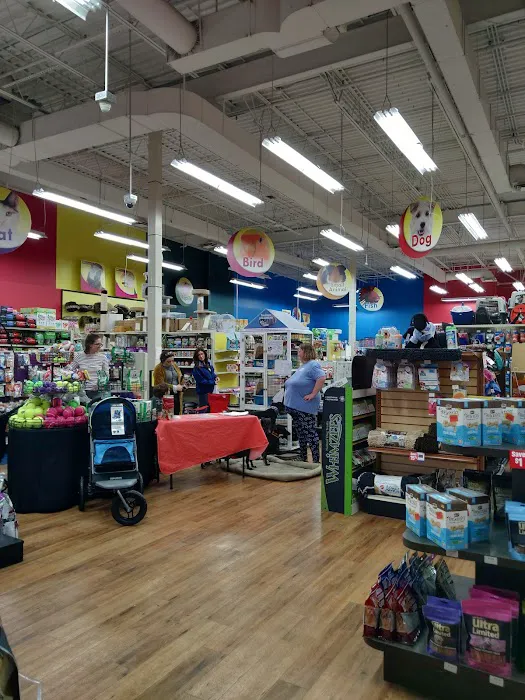 Pet Supermarket Picture 3