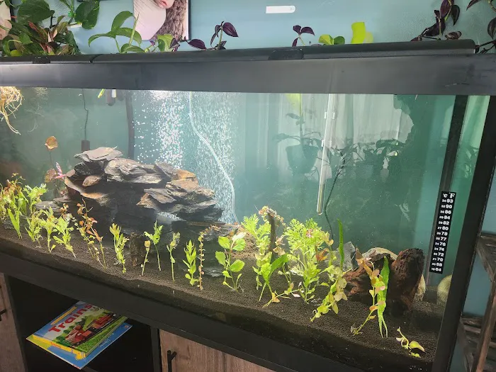 Dustin's Fishtanks Picture 8