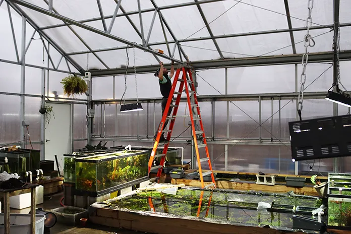 Dustin's Fishtanks Picture 3