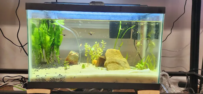 Dustin's Fishtanks Picture 2