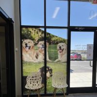 PetVet365 Pet Hospital & Dental Center Lexington/Brannon Crossing ico