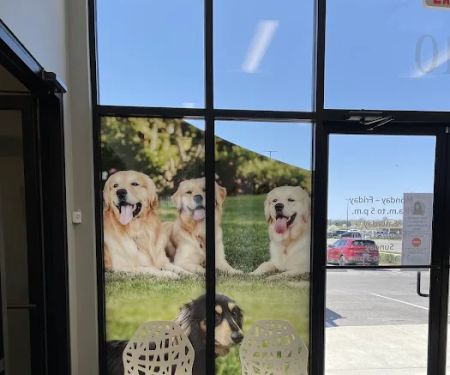PetVet365 Pet Hospital & Dental Center Lexington/Brannon Crossing