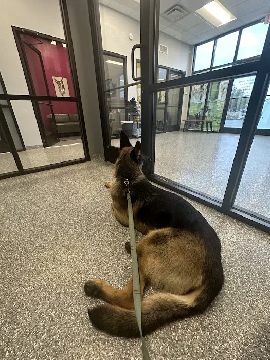 PetVet365 Pet Hospital & Dental Center Lexington/Brannon Crossing Picture 7