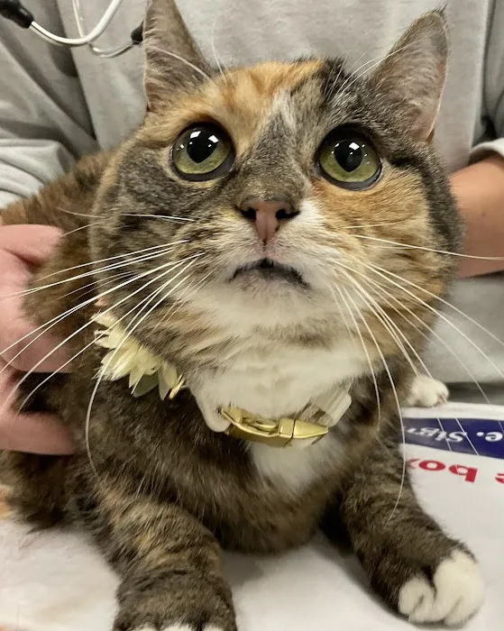 Fayette Veterinary Clinic Picture 8