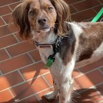 Fayette Veterinary Clinic