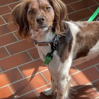 Fayette Veterinary Clinic ico
