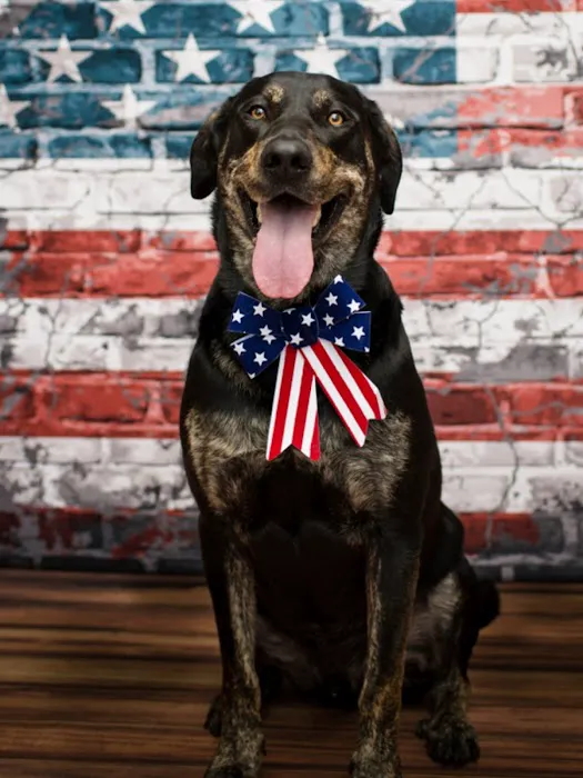 Fayette Veterinary Clinic Picture 9