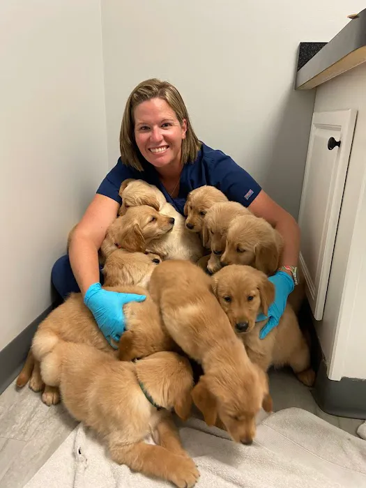 Blue Paw Primary Pet Care Picture 5