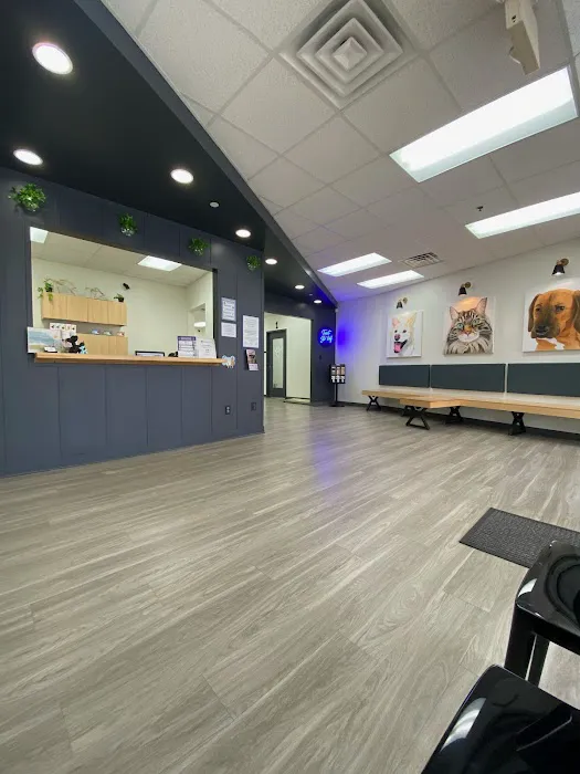Blue Paw Primary Pet Care Picture 7