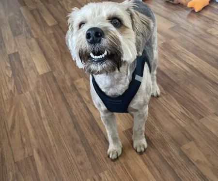 Banfield Pet Hospital